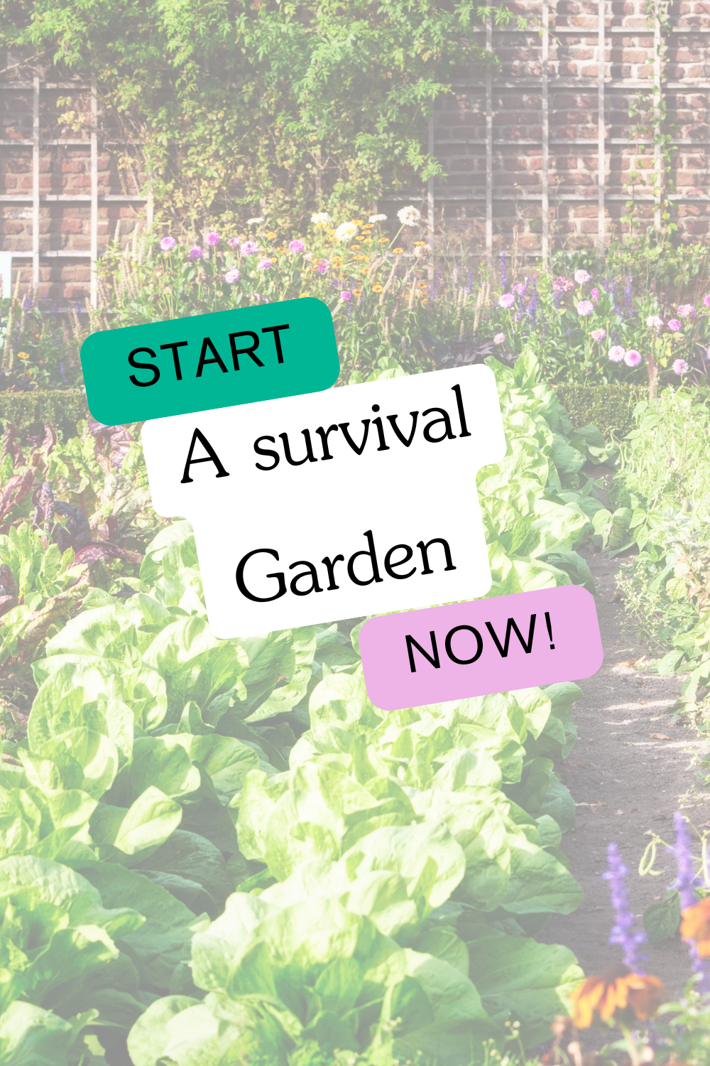 How to start a survival garden